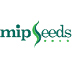 Mip Seeds