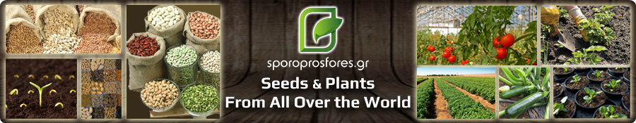 Seeds & Plants of the world