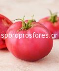 Tomatoes Dimerosa the F1 (Lycopersicum esculentum Mill)