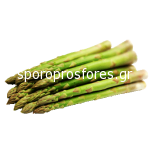Asparagus (rhizomes)