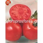 Tomatoes Dora F1