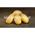 Πατάτες Linata