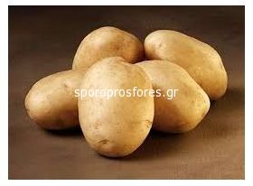 Πατάτες Lombardo