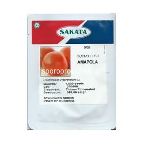 Tomatoes Amapola F1