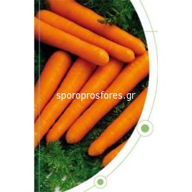 Carrots Maestro