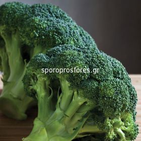 Broccoli Besty F1