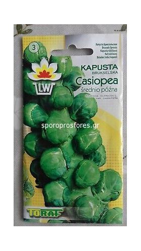 Brussels sprouts Casiopea